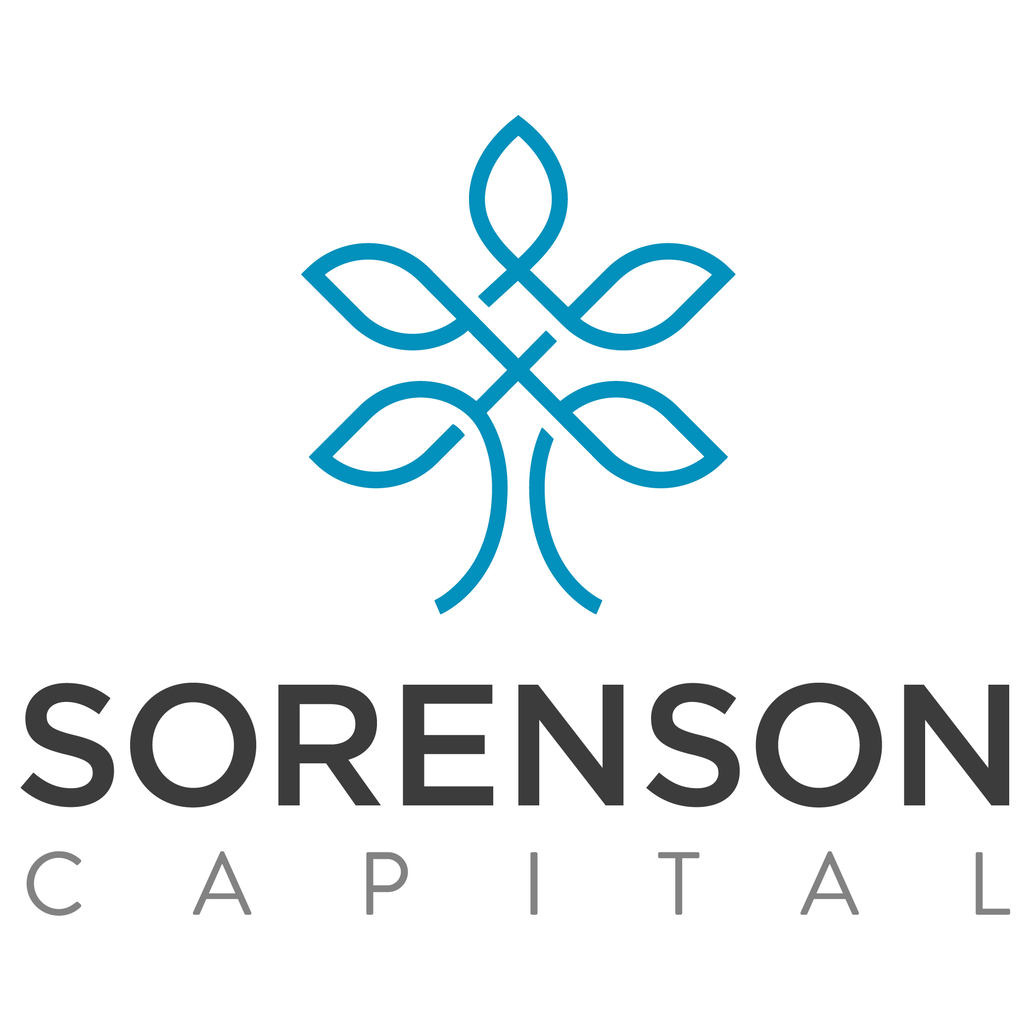 Sorenson-Capital