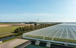 Greenhouses